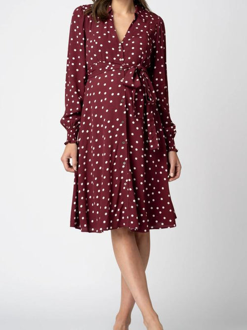Alessandra Maternity Shirt Dress in Print